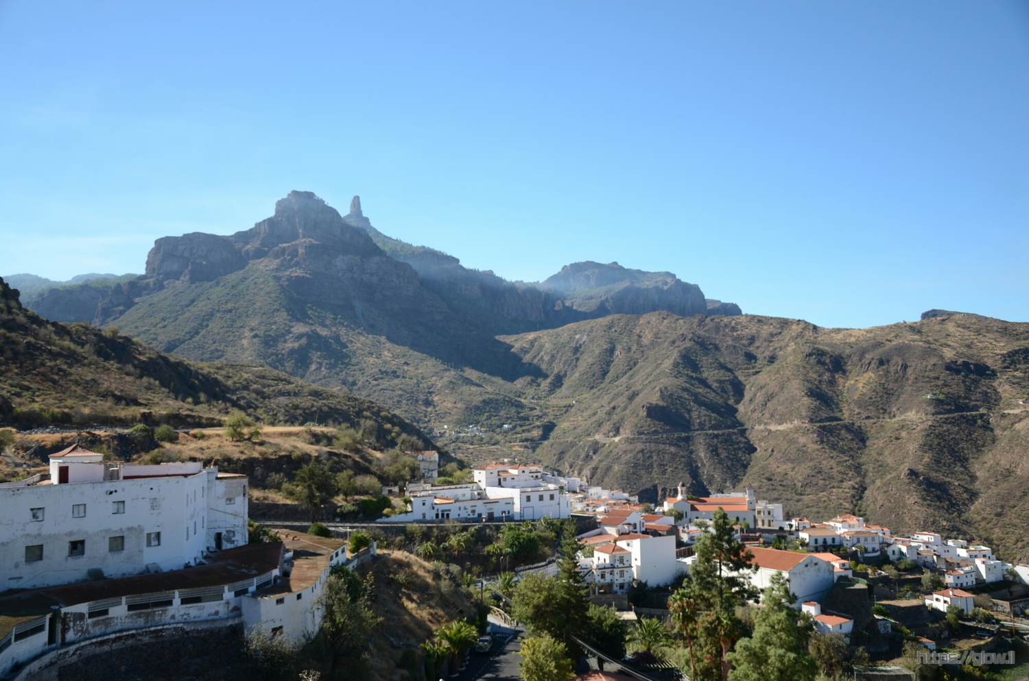 Photo of Cran Canaria